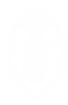 Titletown Brewing Co. Shop logo